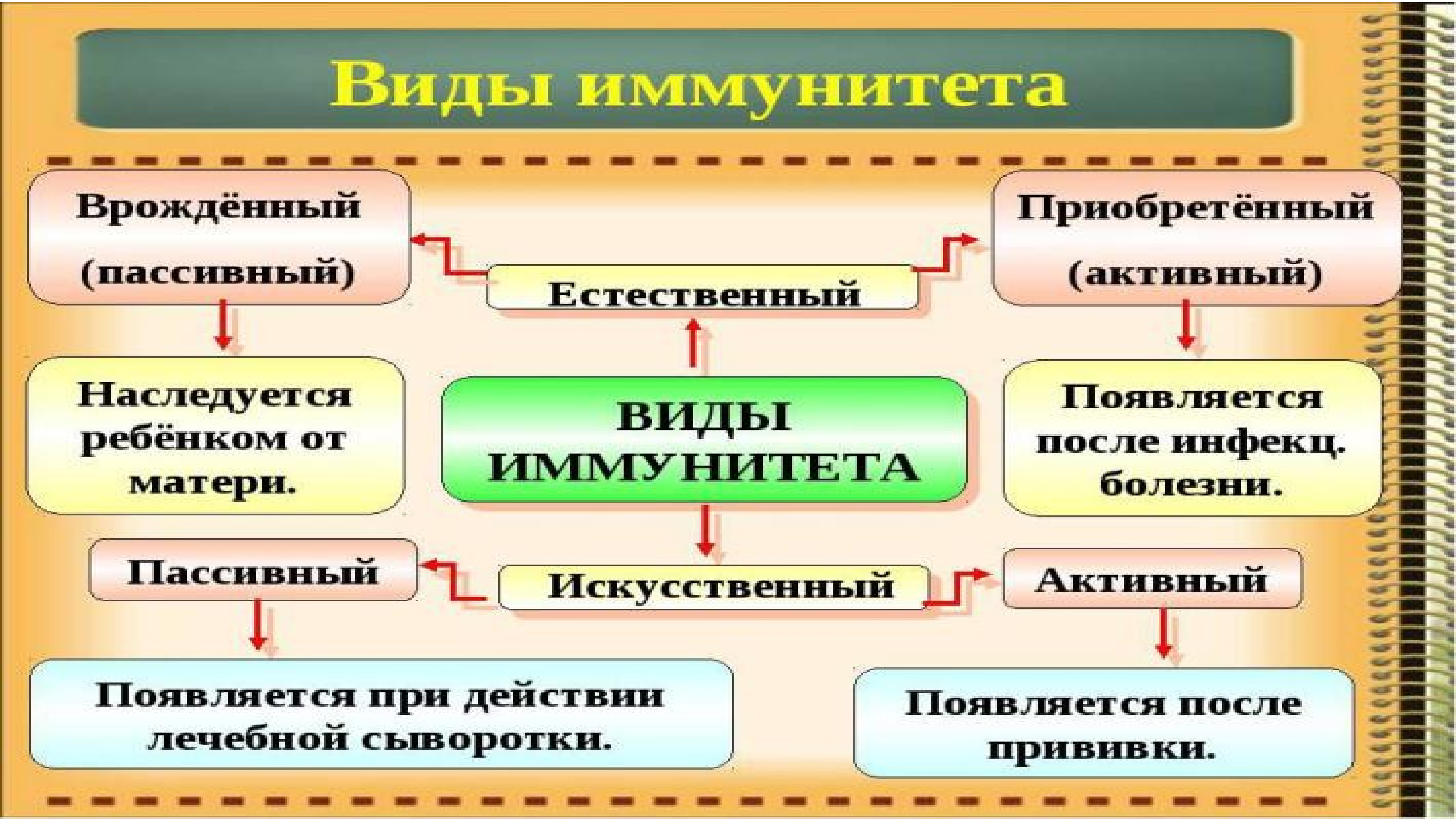 Способы приобретения иммунитета и его вид