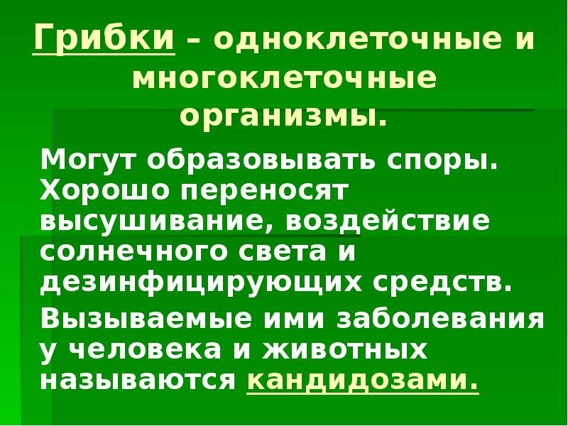 Организмы могут. Бактериологическое оружие. Способны образовывать споры.