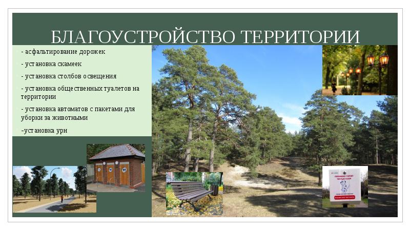 Презентация благоустройства территории