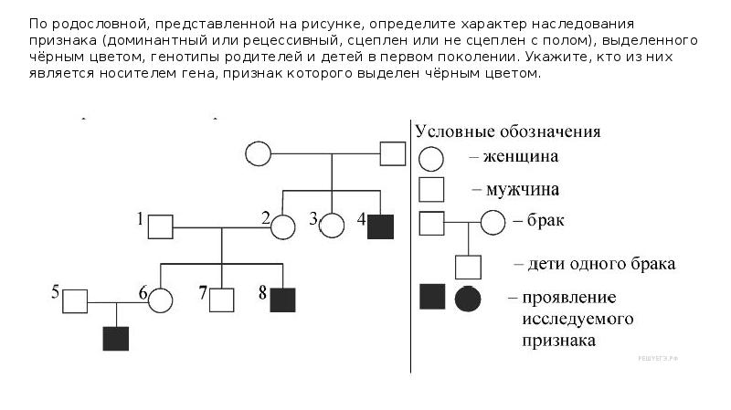 По изображенной на рисунке родословной установите характер проявления признака