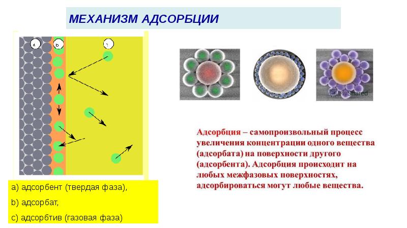 МЕХАНИЗМ АДСОРБЦИИ МЕХАНИЗМ АДСОРБЦИИ