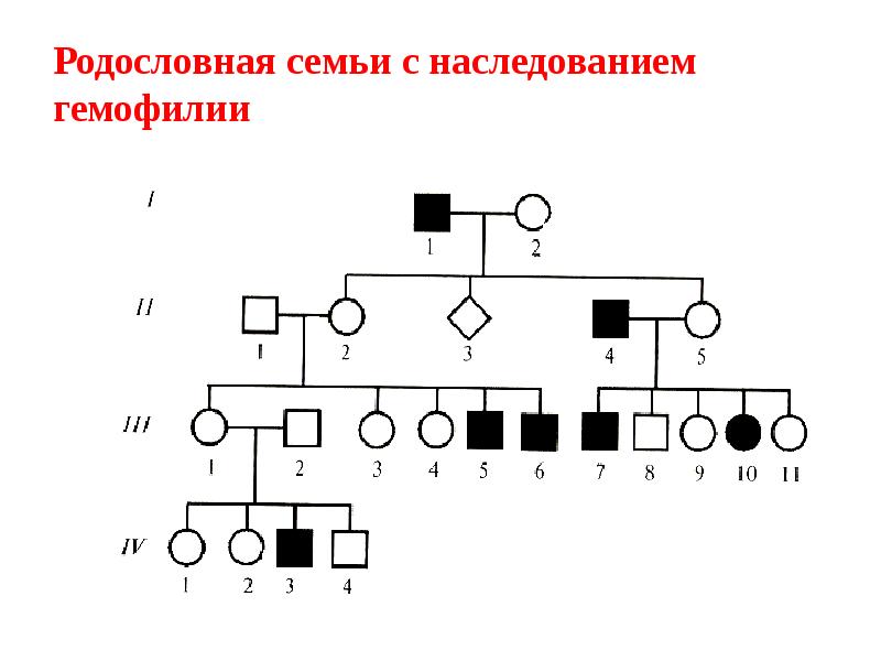 Родословная семьи схема генетика