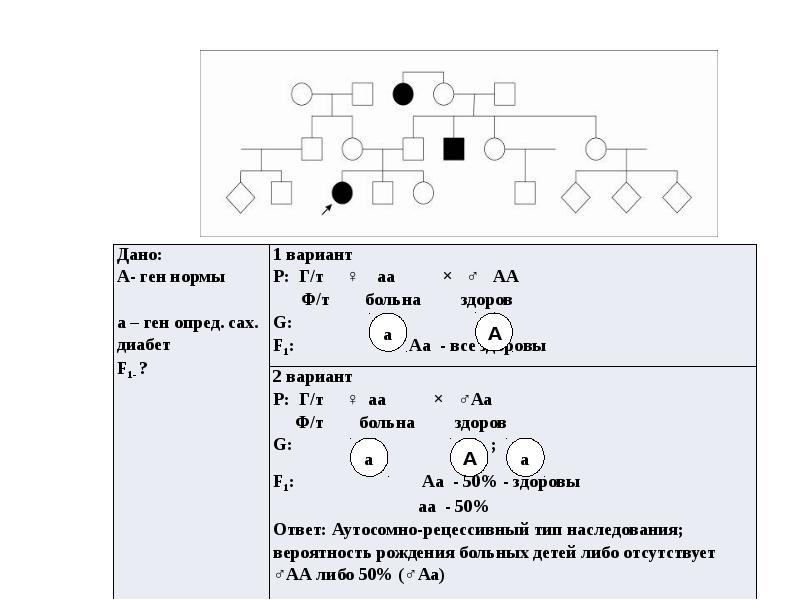 Анализ родословных схем генетика