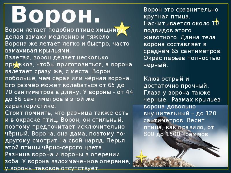 Проект соль черный ворон