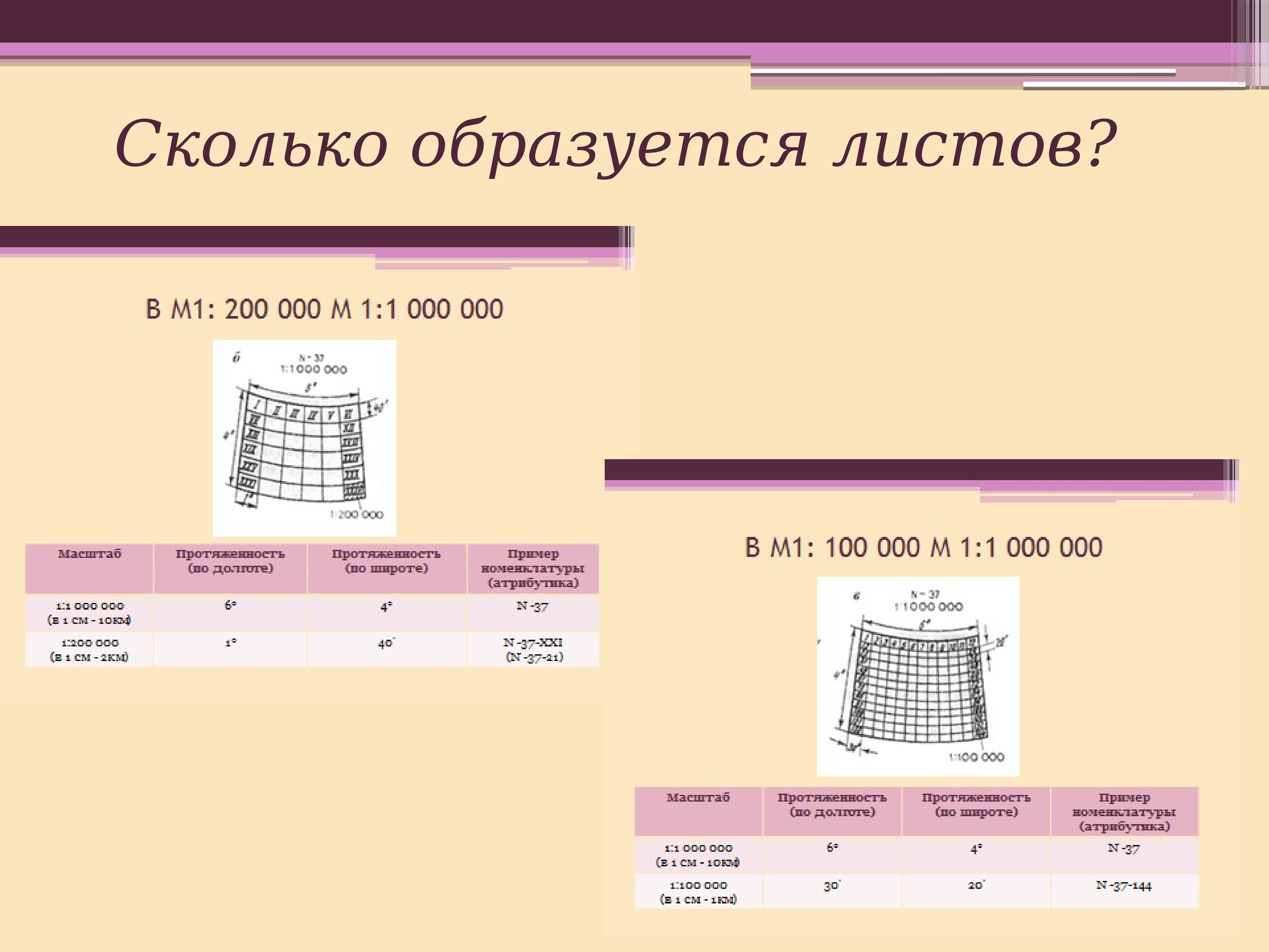 М 1 2 масштаб