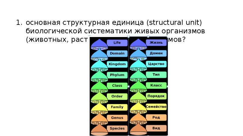 Основная структурная единица систематики живых организмов. Основная структурная единица биологической систематики. Основная структурная единица систематики растений. Основная структурная единица в систематике. Основной структурной единицей в систематике живых.