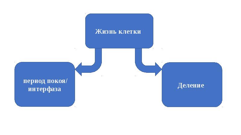 Период х. Период покоя клетки. Графика это наука изучающая. Какие бывают способы дипеляу=ции.