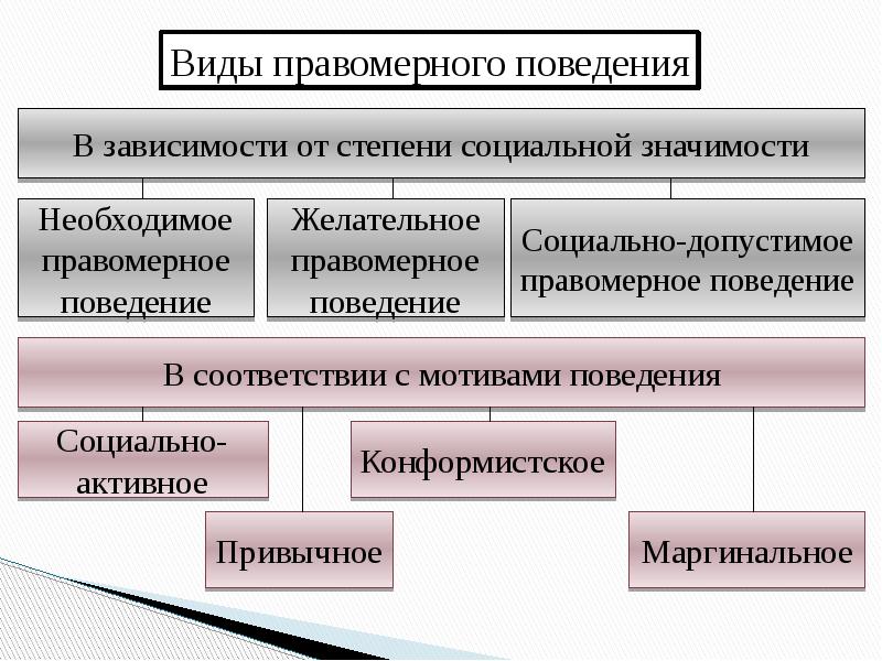 Правовое поведение схема