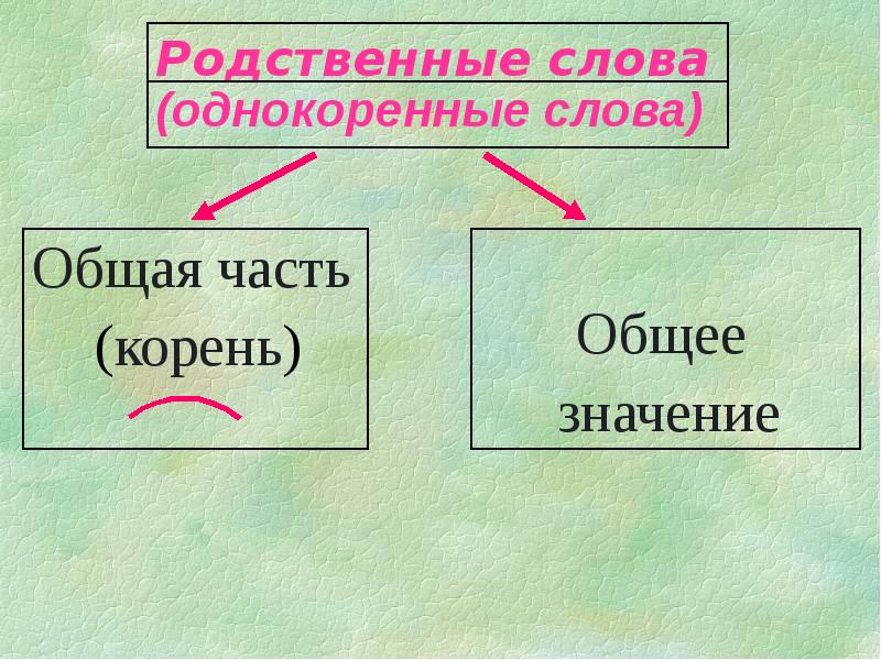 Русский язык 2 класс родственные слова