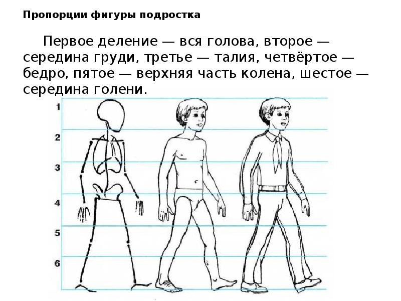 Рисунок человека возрастные нормы