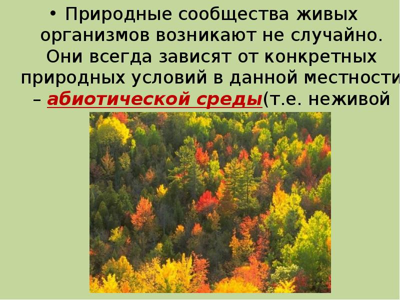 Понятие о природном сообществе 6 класс биология презентация