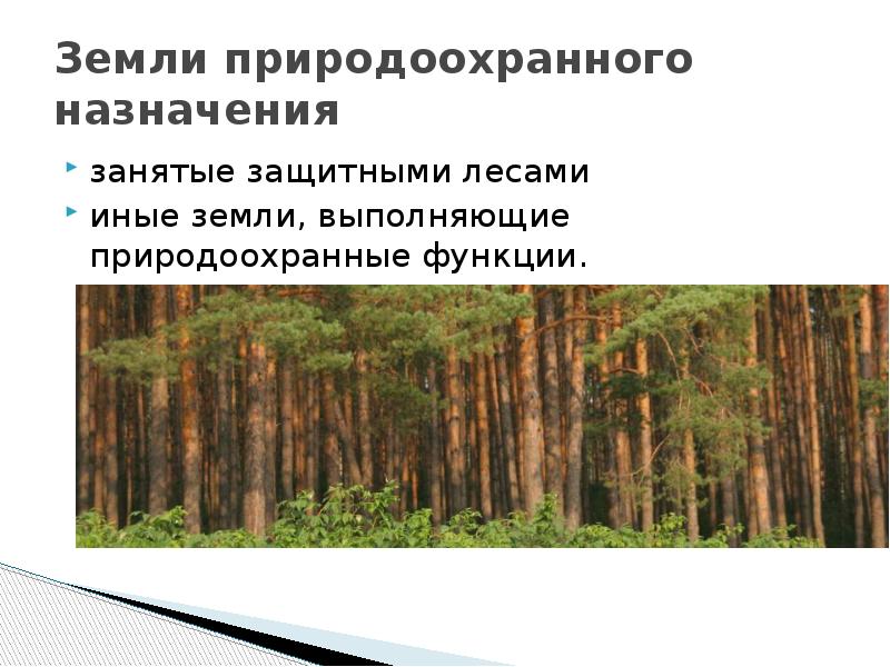 Земли специального назначения. Правовой режим земель природоохранного назначения. Средозащитная функция леса. Лес правовой режим. Виды защитных лесов.