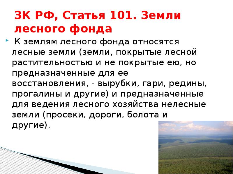 Статья 101