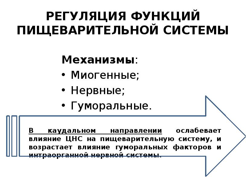 Какие механизмы регуляции