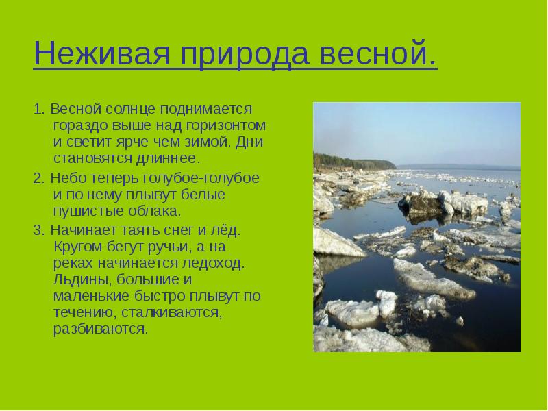 Презентация в гости к весне 2 класс окружающий мир школа россии