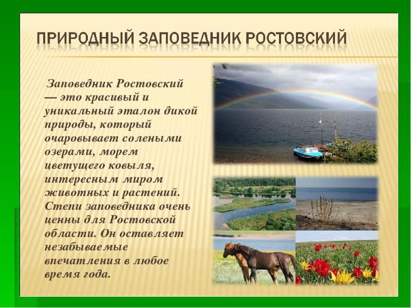 Заповедники природной зоны степи. Заповедники и национальные парки в Ростовской области. Информация о Ростовском заповеднике. Заповедники Ростовской области презентация. Ростовский заповедник презентация.