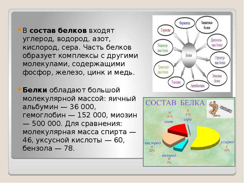 Сера кислород равно. Состав белков. Состав белка. Атомный состав белков. Вещества входящие в состав белков.