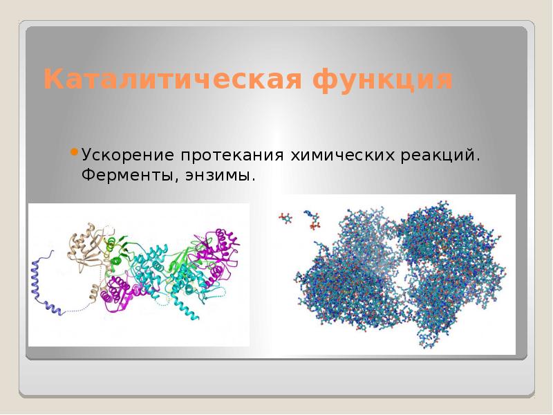 Рисунок протекания химической реакции. Ферменты ускоряют химические реакции. Каталитическая функция воды. Белки выполняющие каталитическую функцию называются. Каталитическая функция у бактерий.