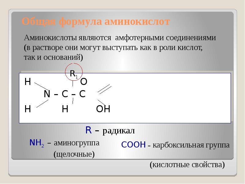 Аминокислоты формула соединения. Аминокислоты формулы. Амины формула. Общая формула аминокислот. Формула Аминов.