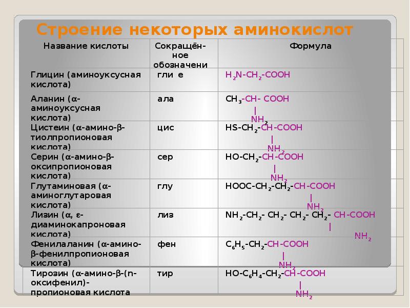 Сколько всего аминокислот. 20 Аминокислот классификация. Аминокислоты структура формулы. Строение всех аминокислот. Общая структура аминокислот.