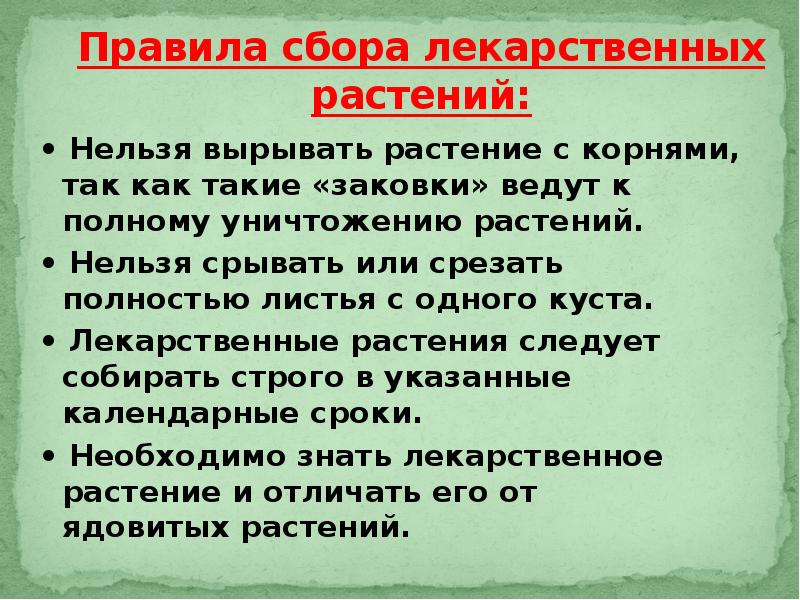 Правила сбора. Нельзя срывать лекарственные растения. Нельзя собирать лекарственные растения. Почему нельзя вырывать с корнем растения. Правила сбора цветков.