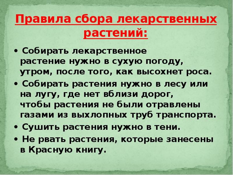 Правила сбора. Правила сбора лекарственных растений. Правила сбора лекарственных растений для детей. Составьте правила сбора лекарственных растений. При сборе лекарственных растений их необходимо:.