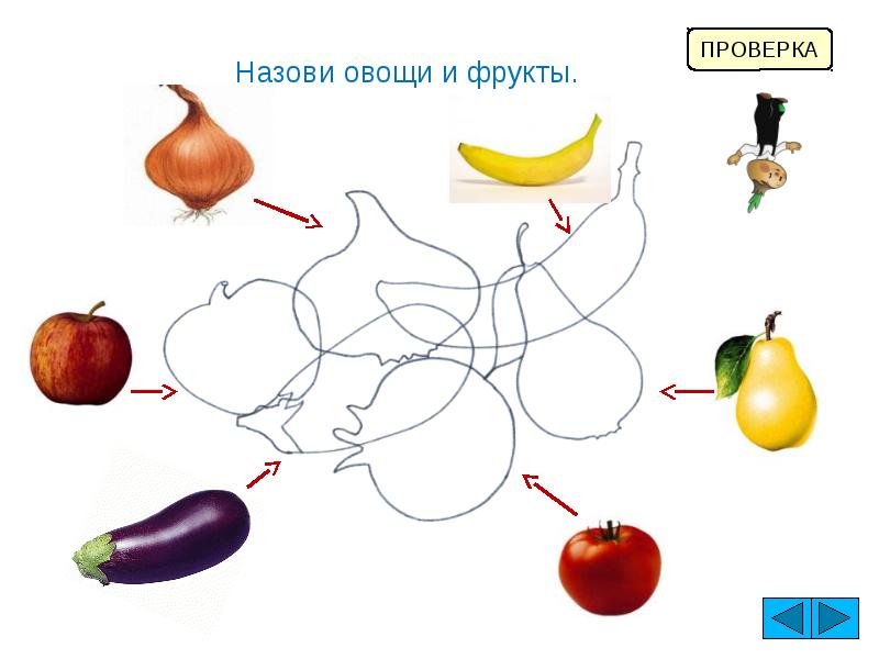 Занятие тема овощи. Лексическая тема овощи и фрукты. Тема овощи и фрукты в подготовительной группе. Узнай и назови овощи. Лексическая тема овощи и фрукты для детей с ОВЗ.