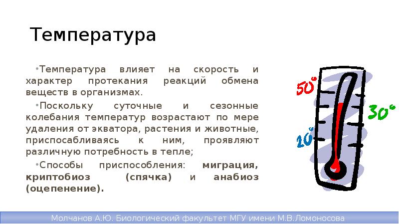 На рисунке представлено влияние температуры окружающей среды на температуру тела собаки