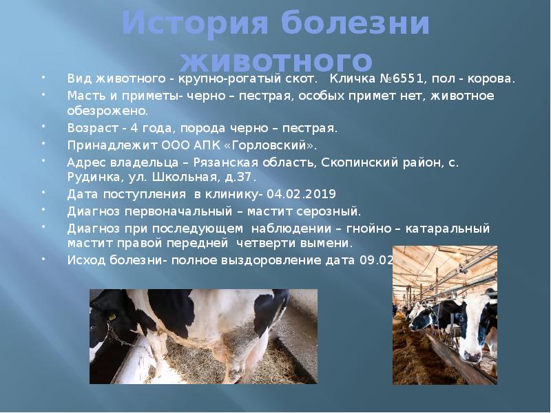 Губчатая энцефалопатия коров. Готовые истории болезни. История болезни коровы. Профилактика тимпании у коров. История болезни коровы.