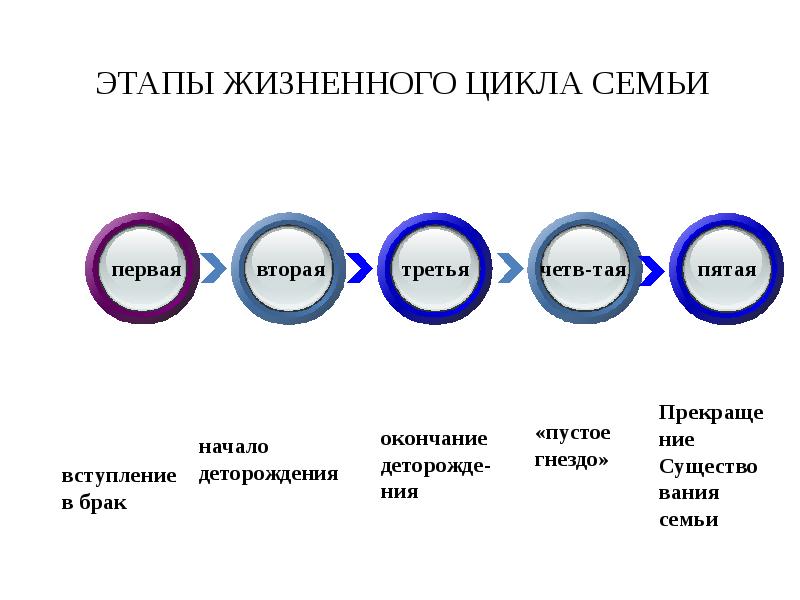 Семья функции и жизненный цикл семьи