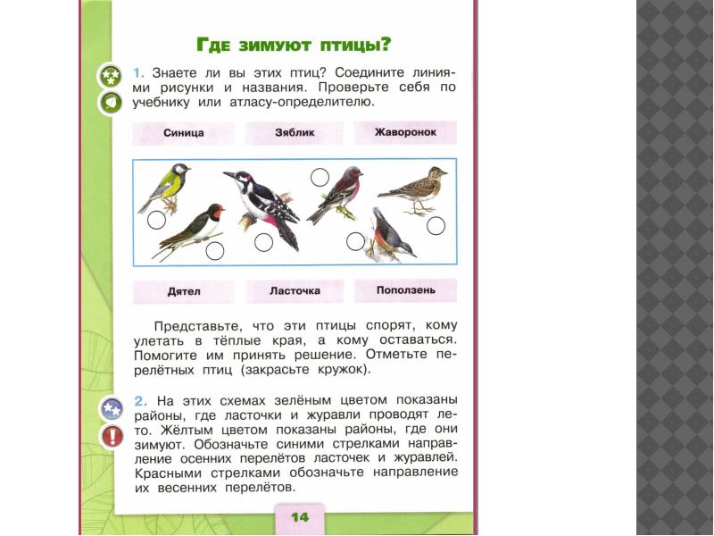 Окружающий мир где зимуют птицы рабочая тетрадь