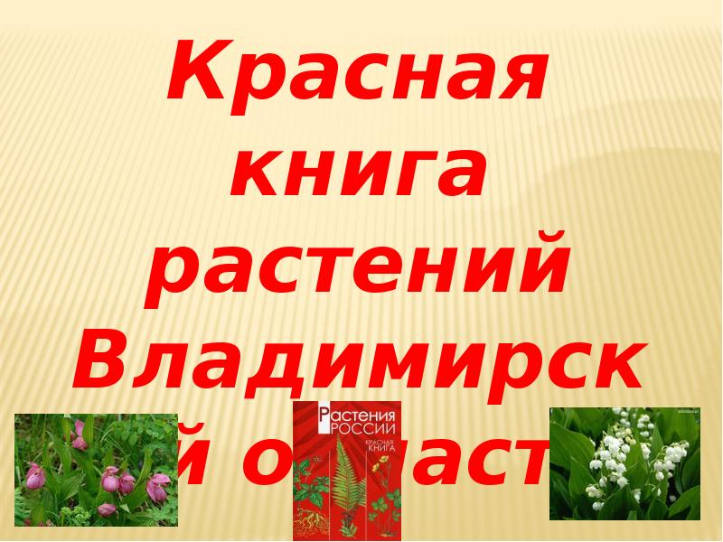 Красная книга тюменской области растения с картинками и описанием