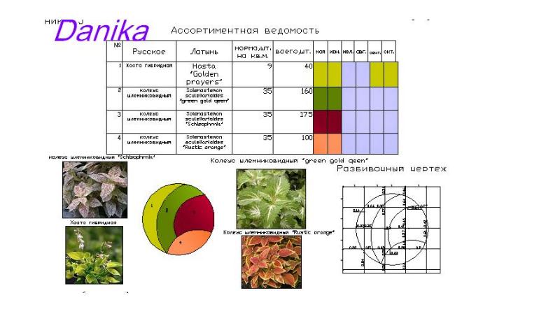 Определи масштаб изображения цветника