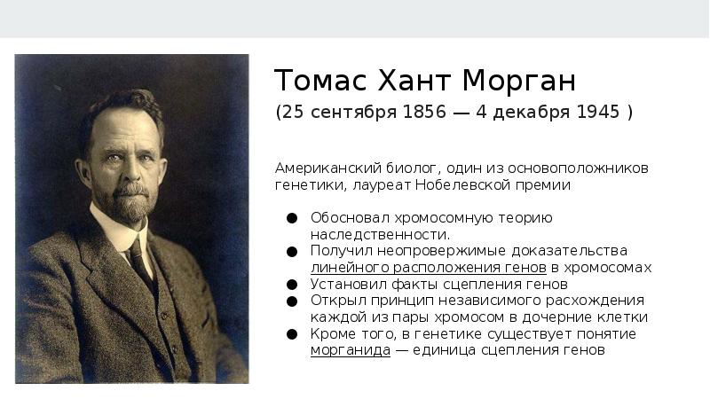 Томас хант морган презентация