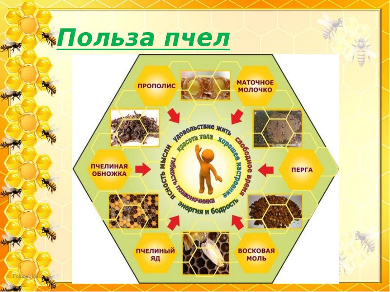 Польза пчел Польза пчел