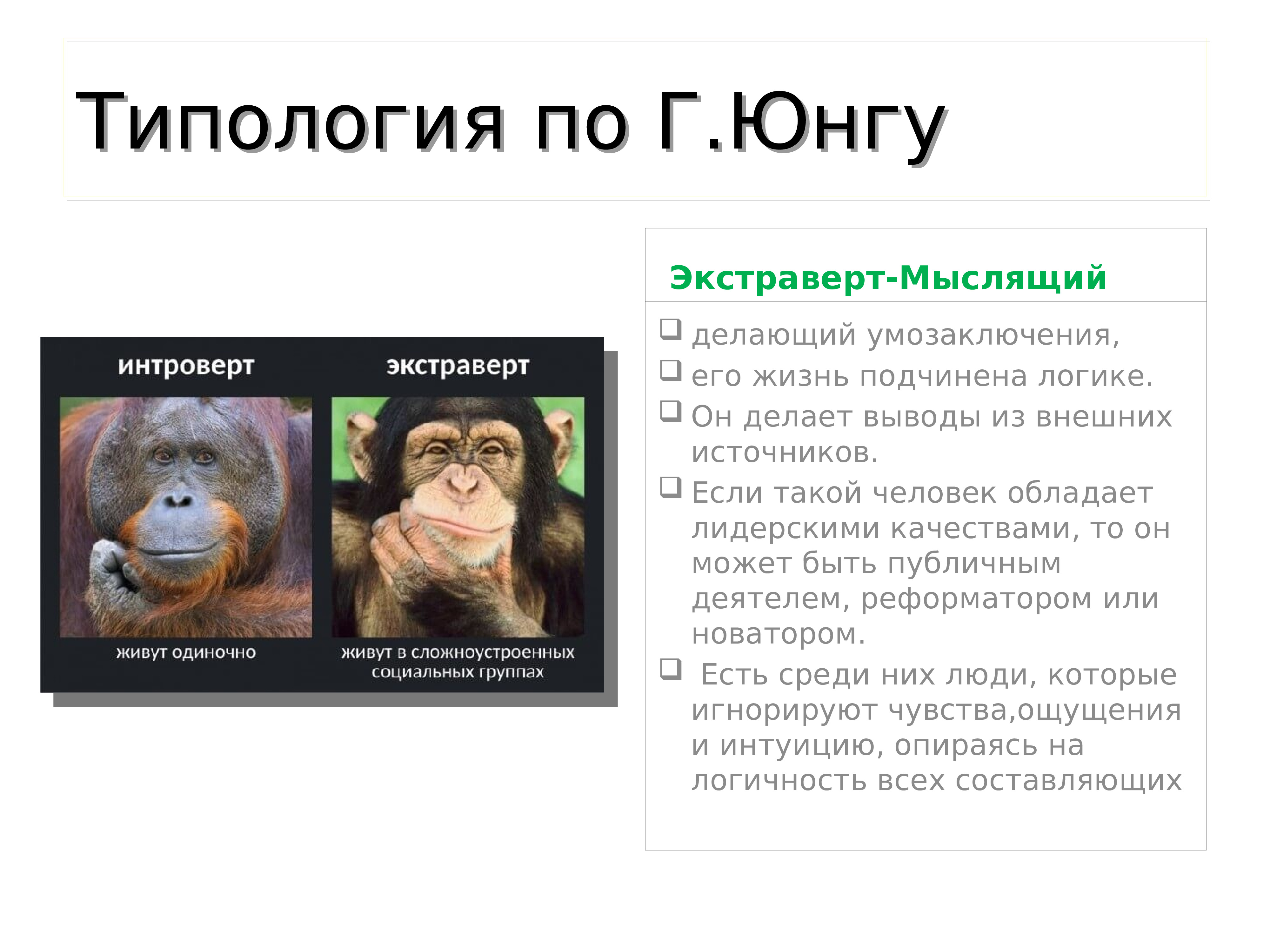 Экстраверту юнга. Типология по Юнгу. Типология личности по Юнгу. Интроверт экстраверт детали. Индия типология личности по животным.