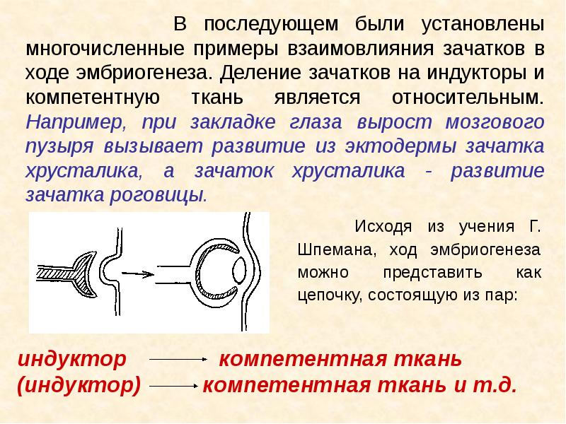 Эмбриональные грыжи презентация