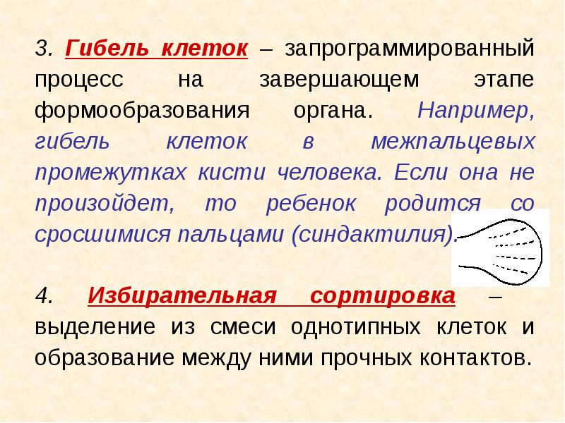 После письменный период