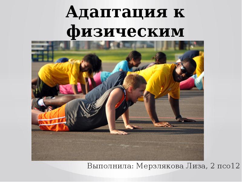 Спортивная адаптация. Адаптация к физическим упражнениям. Адаптация это в физической культуре. Адаптация к физическим нагрузкам (адаптация). Адаптация спортсменов.