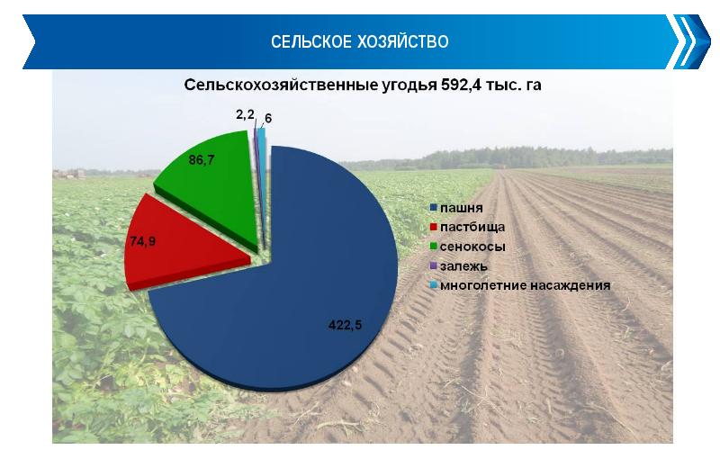 Отраслевая и территориальная структура хозяйства новой зеландии. Структура хозяйства Литвы. Колумбия сельское хозяйство диаграмма. Отраслевая структура хозяйства Восточной Сибири.