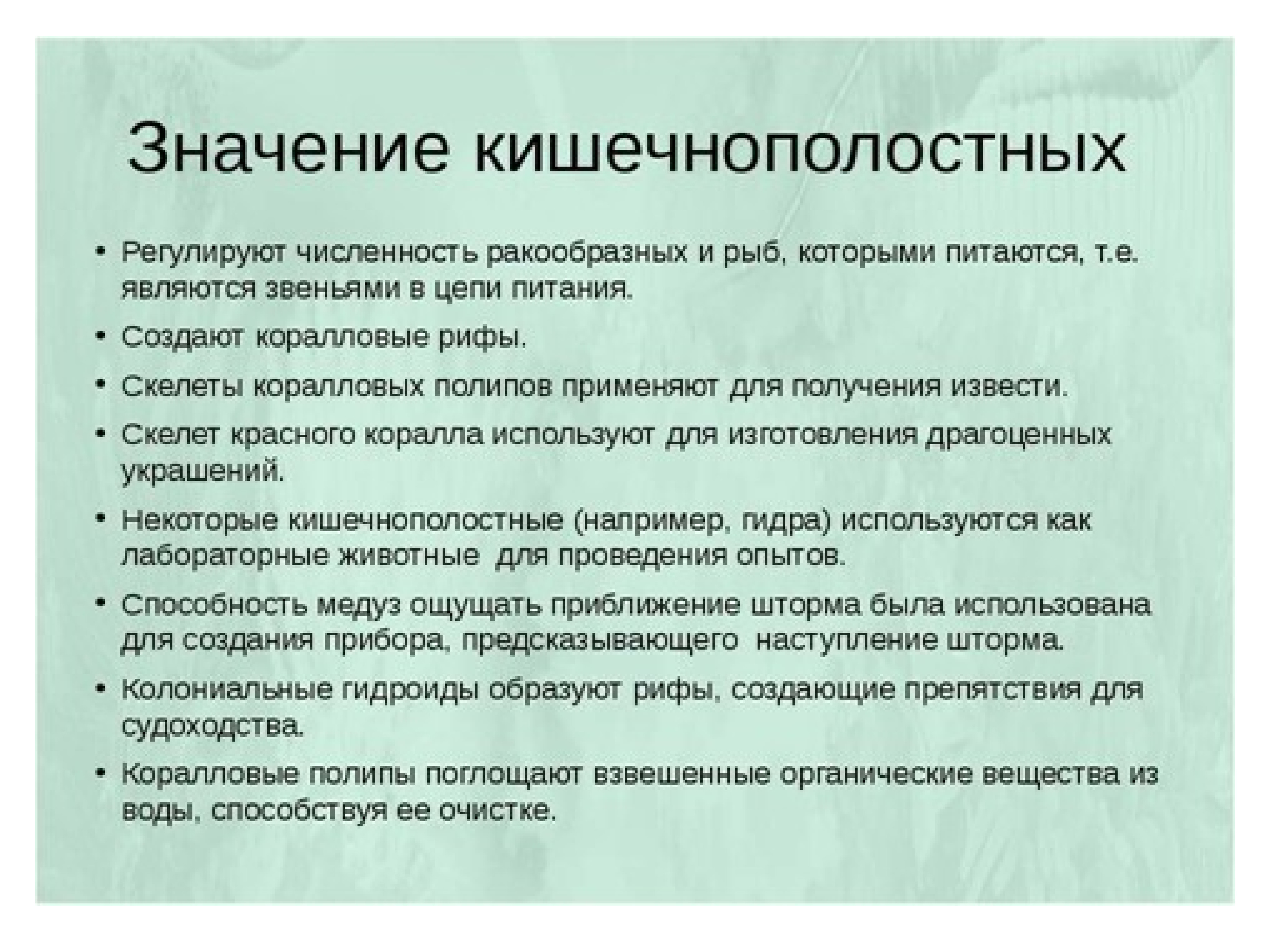 Значение кишечнополостных в природе и в жизни человека схема