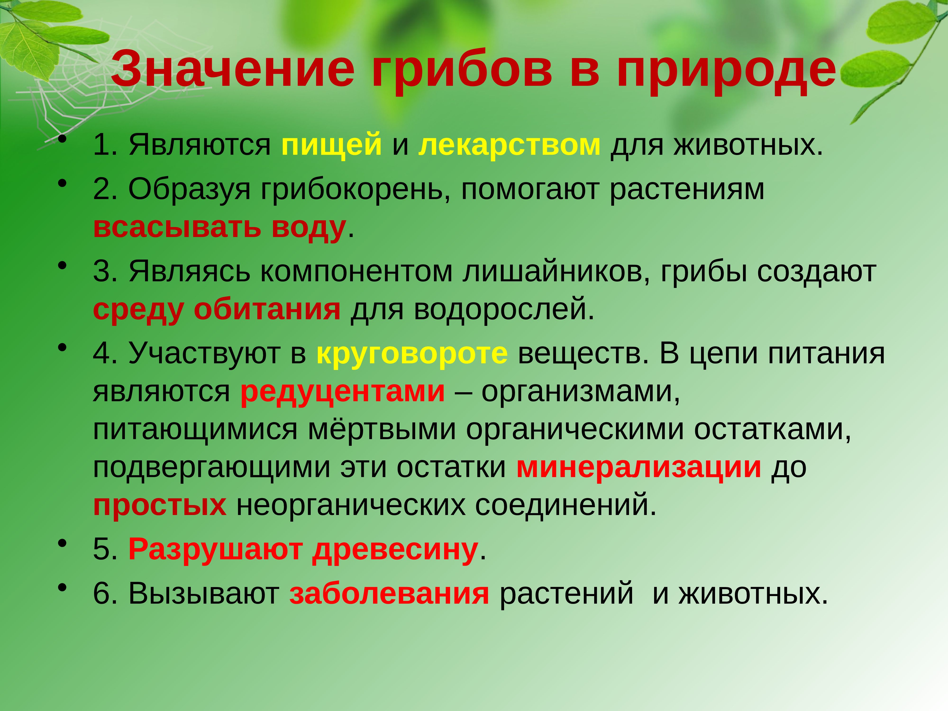 Многообразие и значение грибов 5 класс биология презентация