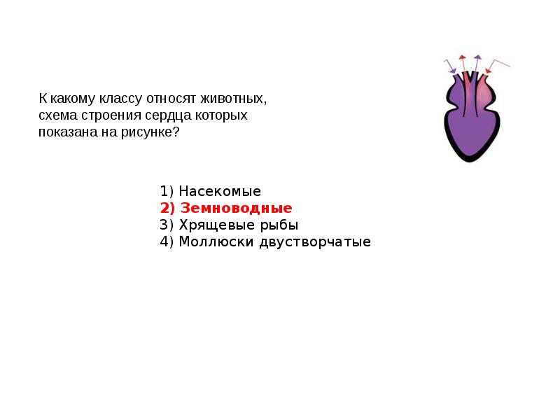 Если у животного сердце имеет строение изображенное на рисунке то для этого животного характерны