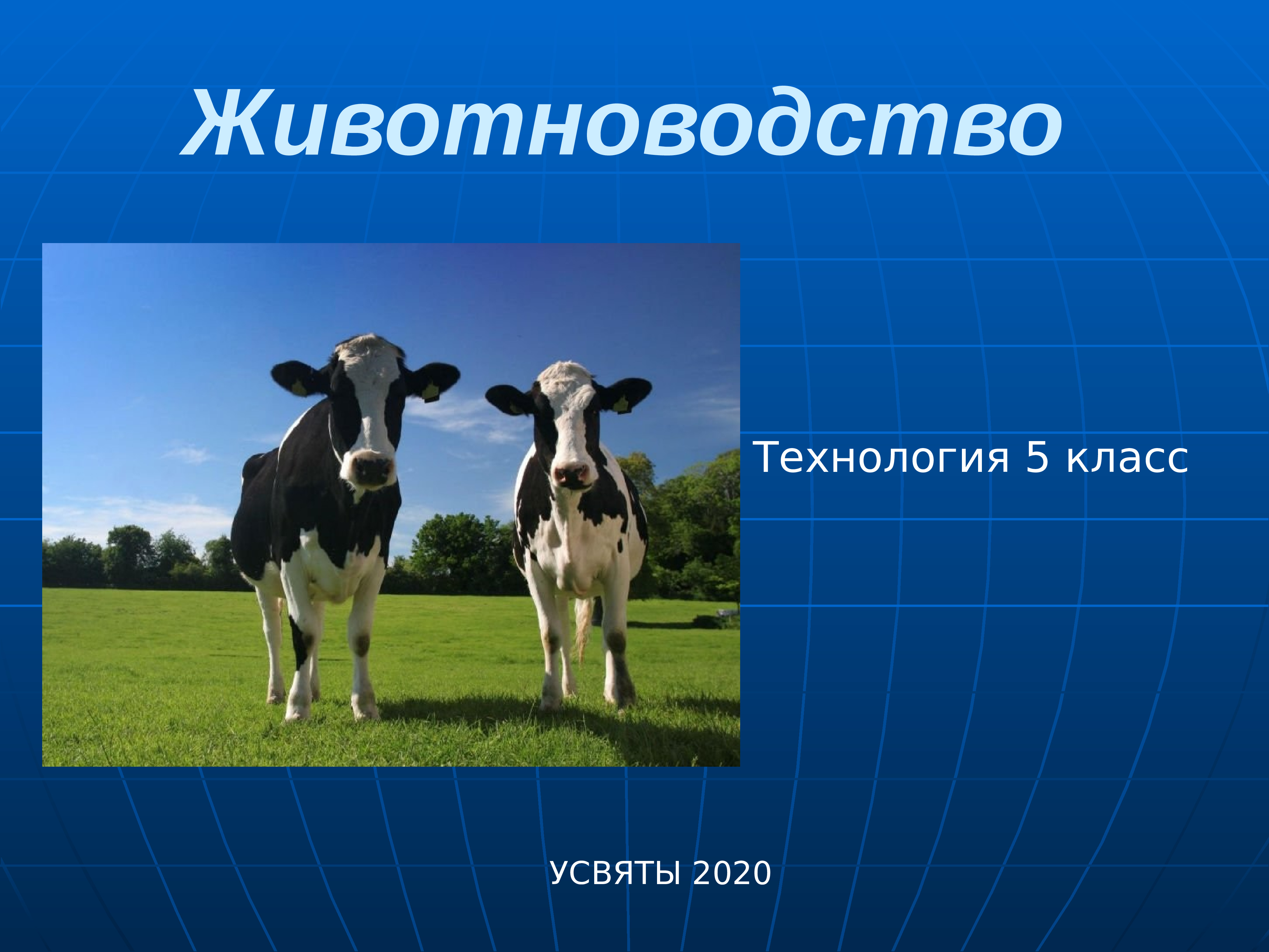 Содержание животных элемент технологии производства животноводческой продукции презентация 6 класс