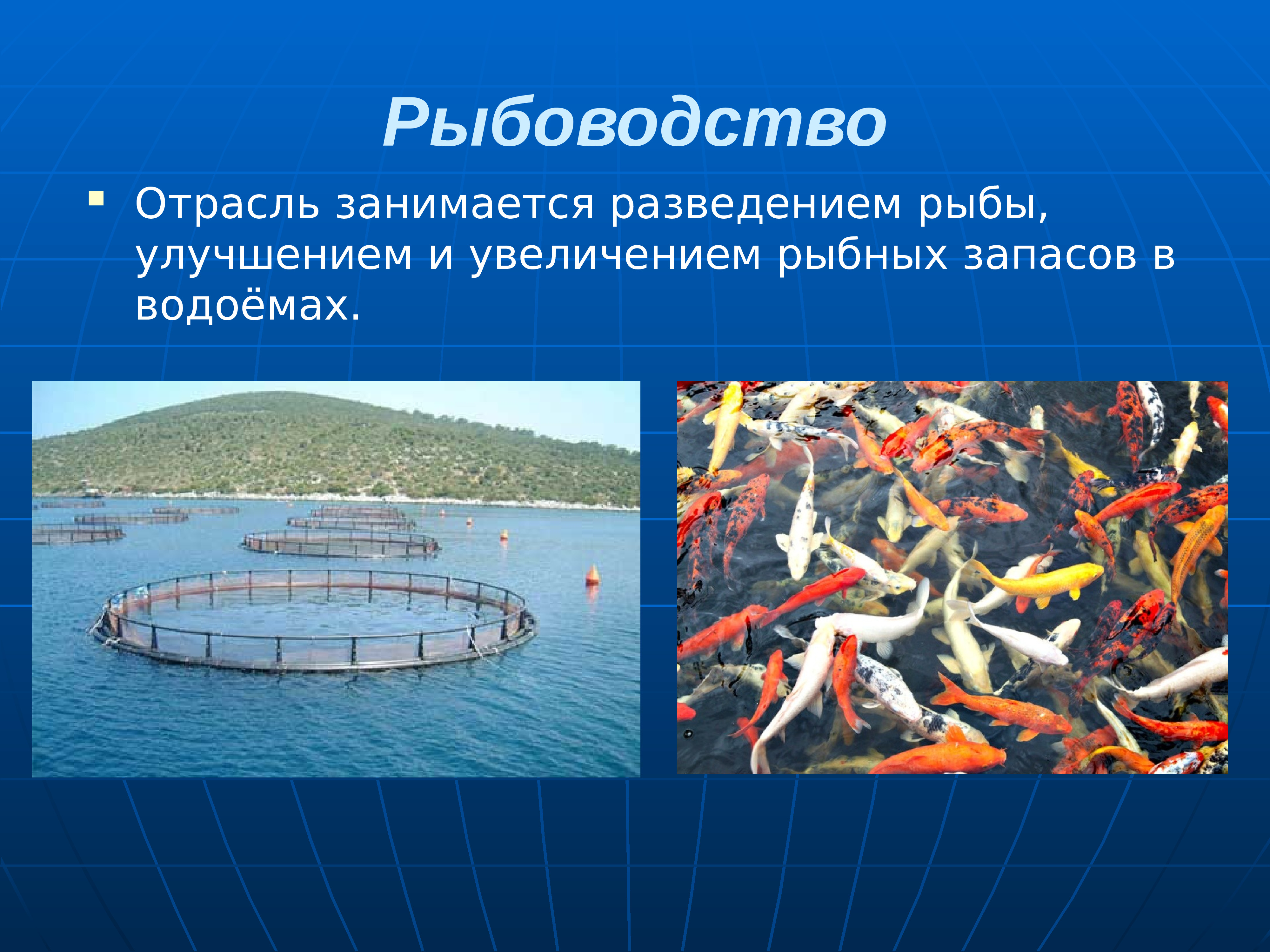 Рыбная промышленность является отраслью специализации