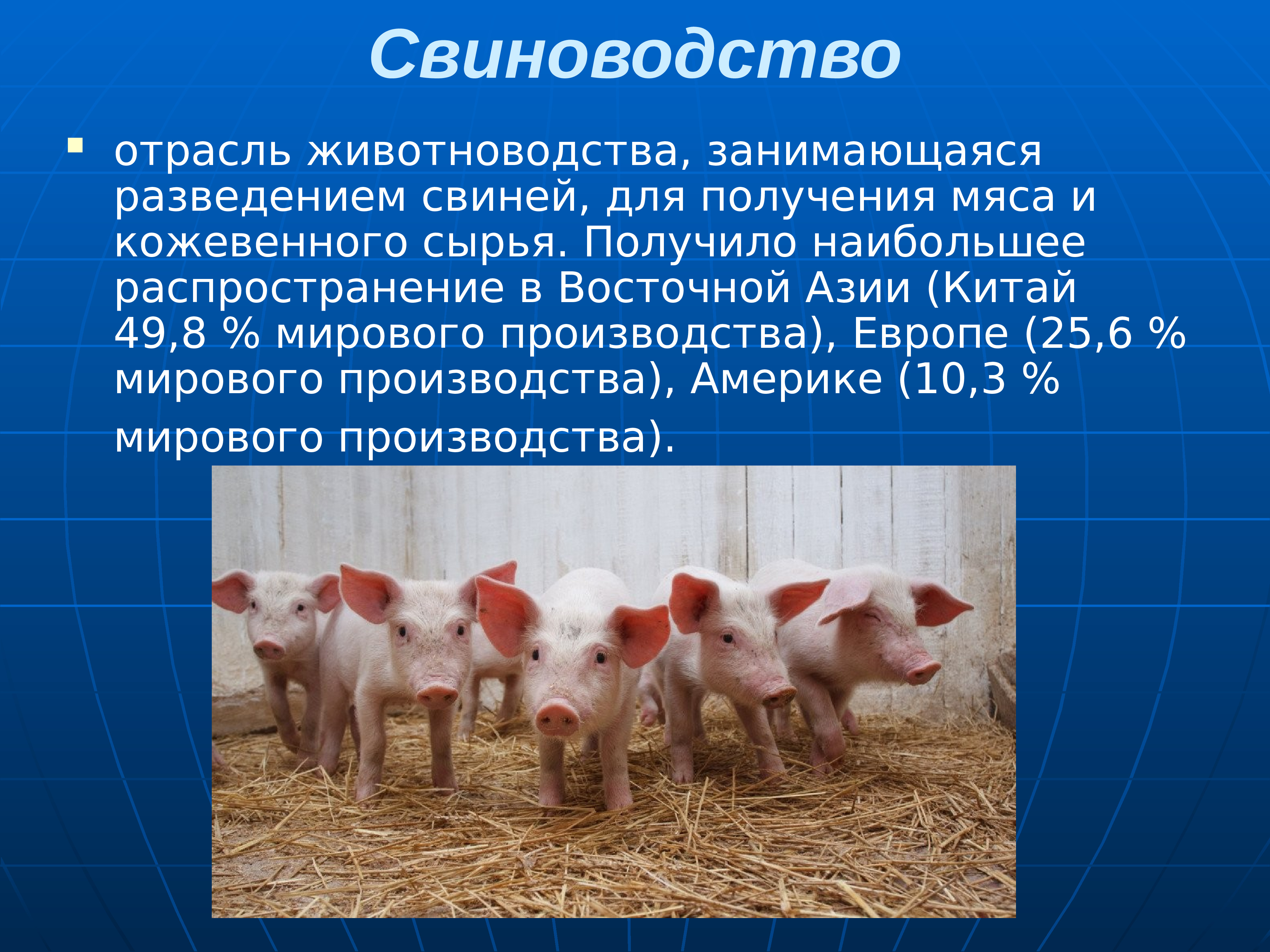 Принадлежащий свинье. Сельское хозяйство животноводство. Животноводство презентация. Отрасли животноводства. Животноводство свиноводство.