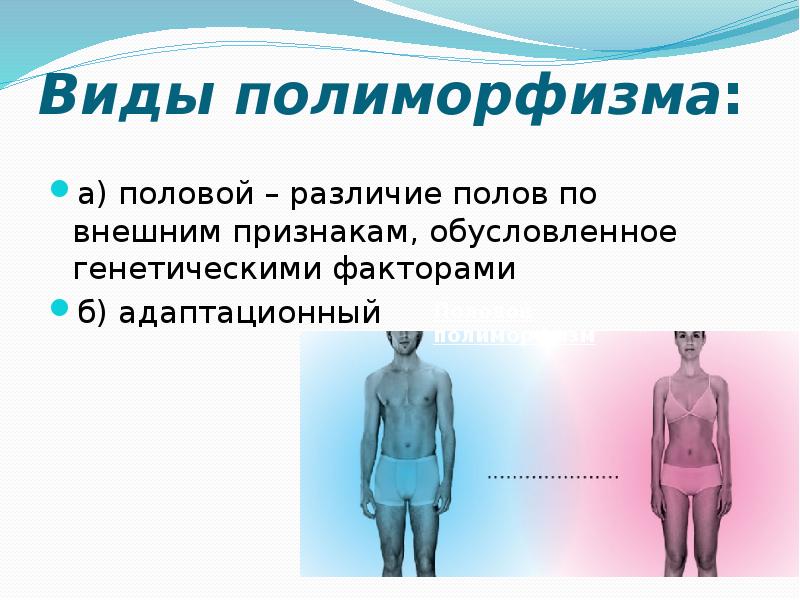 Виды полиморфизма: а) половой – различие полов по внешним признакам, обусловленное