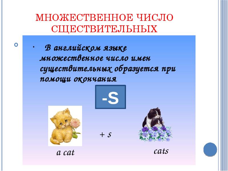 Множественное число 2 класс английский язык презентация