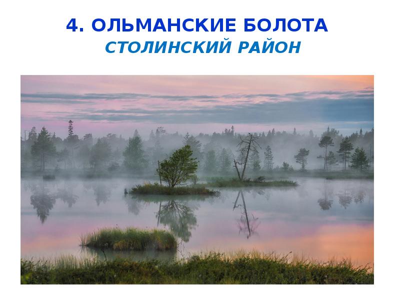 4. Ольманские болота&nbsp; &nbsp;Столинский район