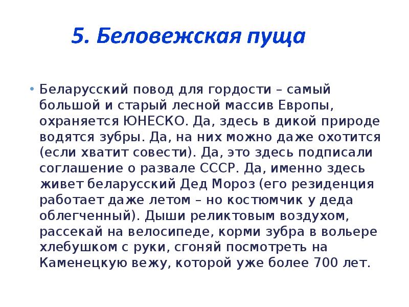 Беларусский повод для гордости – самый большой и старый лесной массив